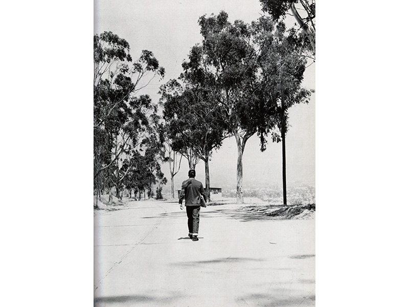 1951 Track Athlete Walking Home after Practice along Murray Drive