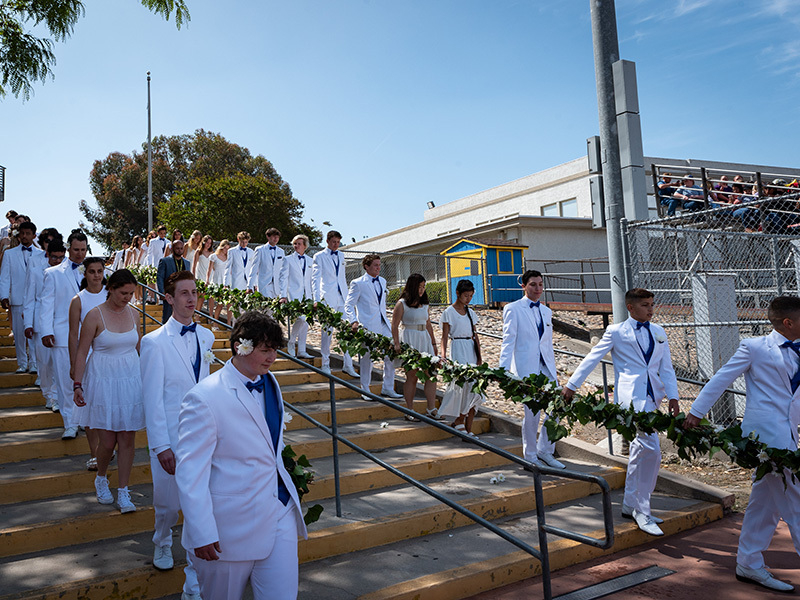 Daisy Chain Entering the Stadium